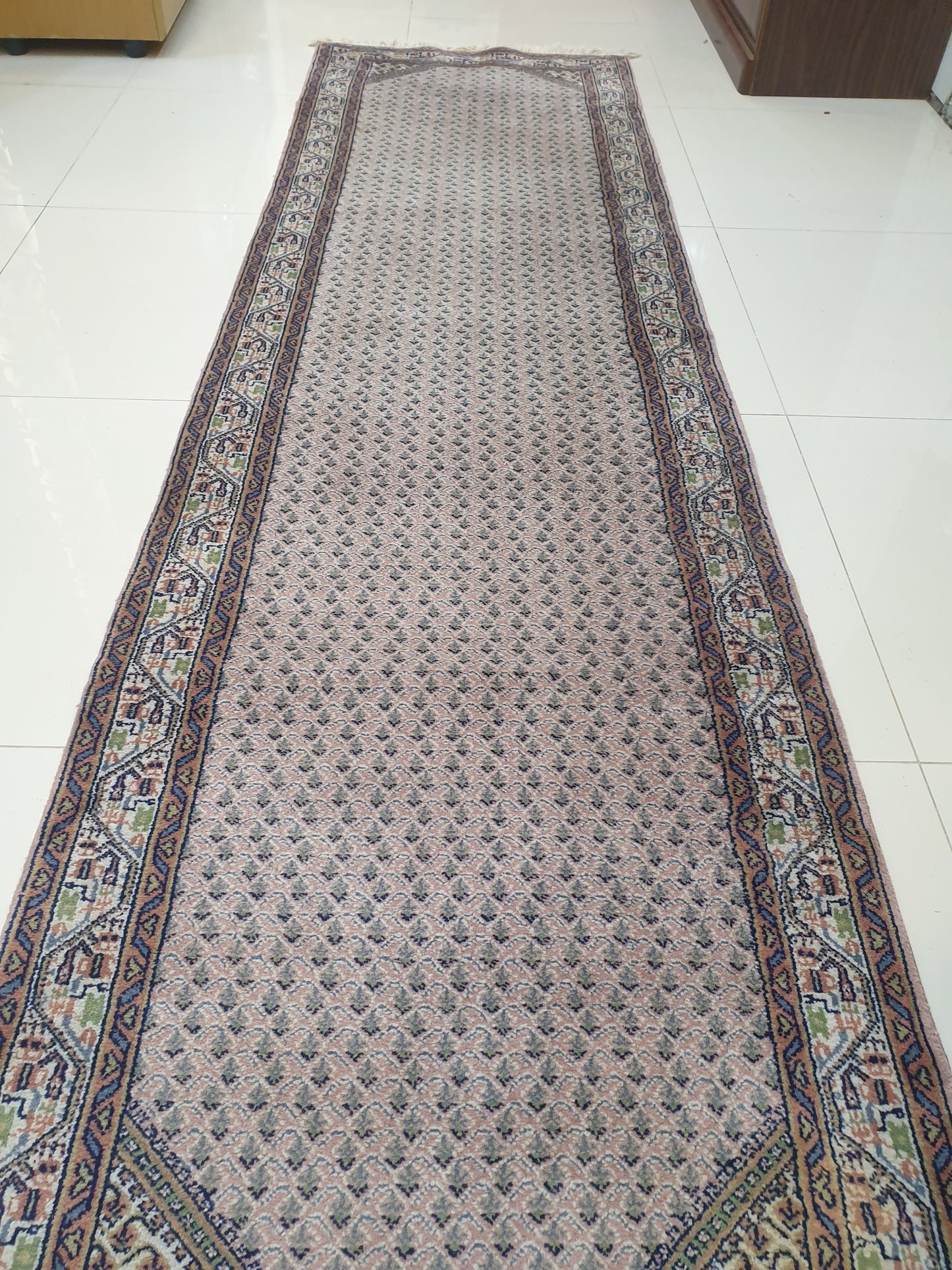Elegant 9' x 2'5" Indo-Persian Hand-Knotted Runner - Classic Charm for Your Home