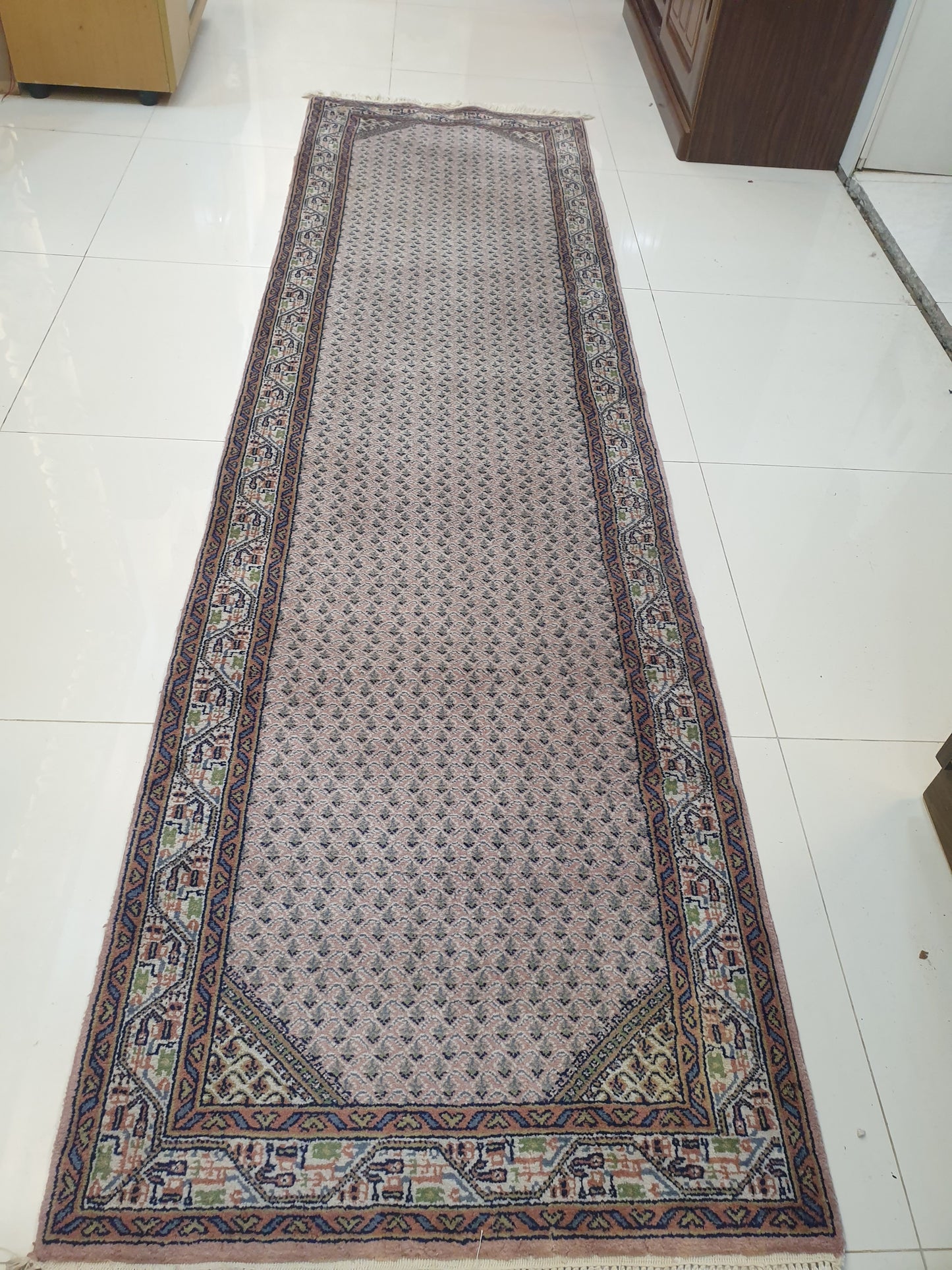 Elegant 9' x 2'5" Indo-Persian Hand-Knotted Runner - Classic Charm for Your Home