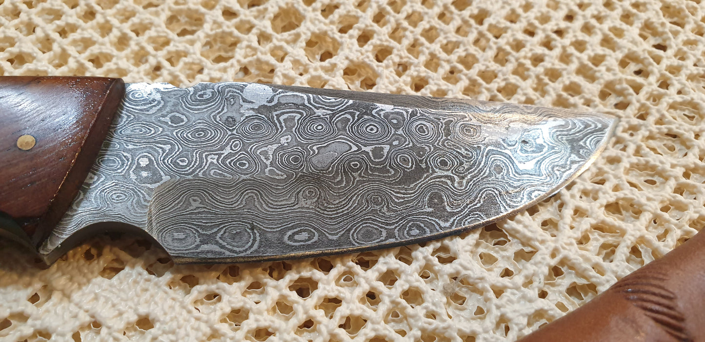 Stunning Handmade Damascus Drop Point Knife with Horn and Exotic Wood Handle