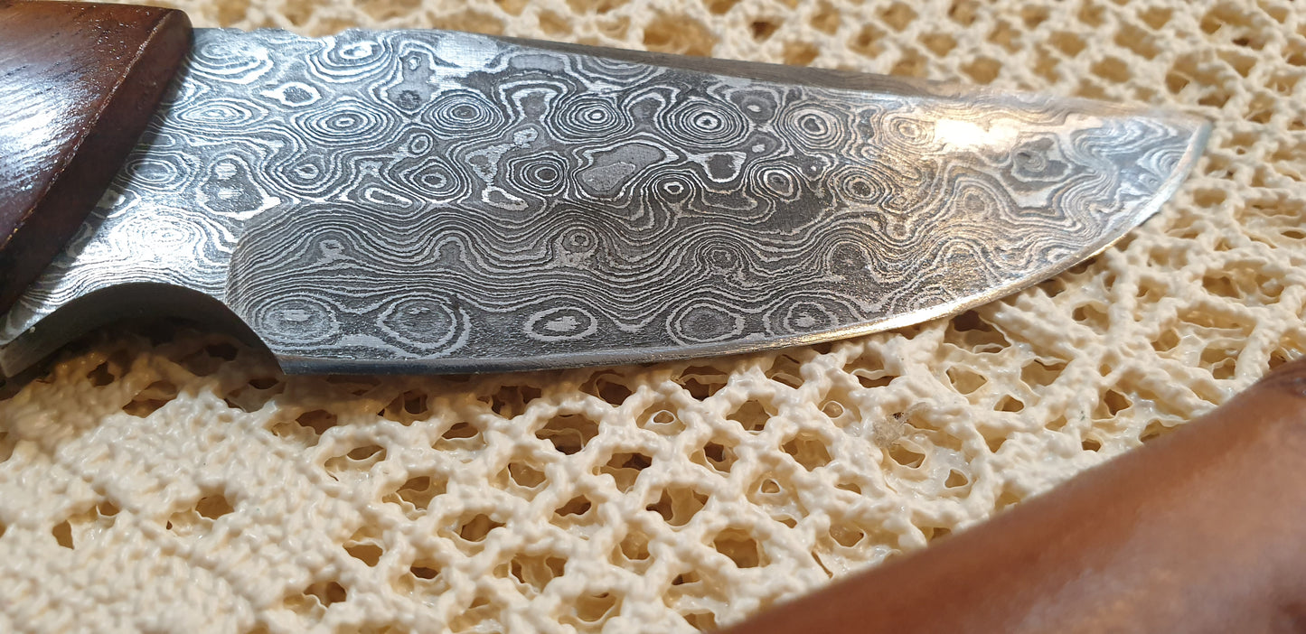 Stunning Handmade Damascus Drop Point Knife with Horn and Exotic Wood Handle